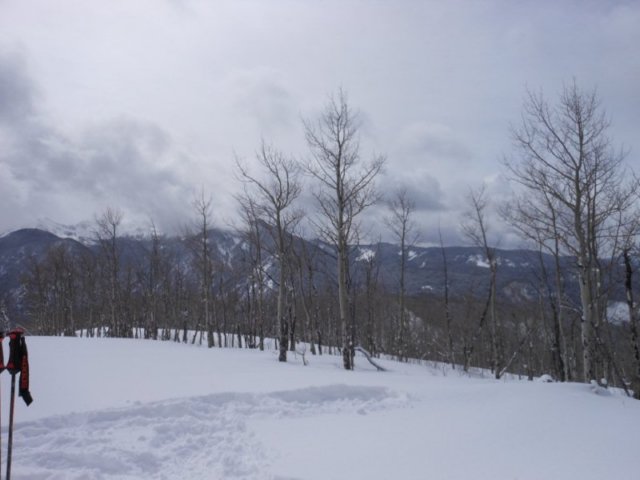 snowshoetrekviews.jpg