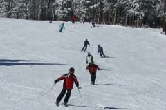 IMG_0040a