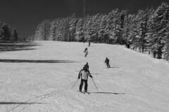 IMG_0042a
