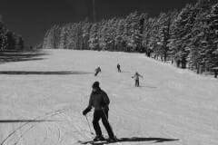 IMG_0044a