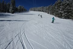 IMG_0045a