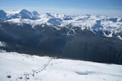 IMG_3771.jpg