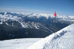 IMG_3772.jpg