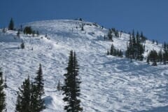 IMG_3779.jpg