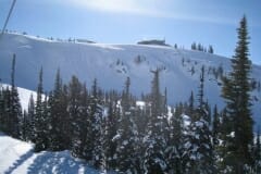 IMG_3781.jpg