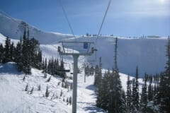 IMG_3782.jpg