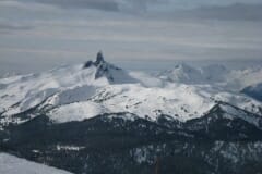 IMG_3790.jpg