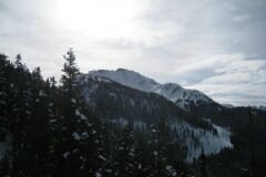 IMG_3797.jpg