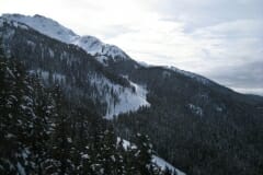 IMG_3798.jpg