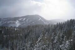 IMG_4020
