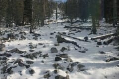 SKIING 2018 4147