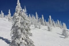 SKIING_2018_4223