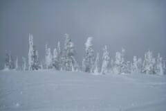 IMG_4430_1024x768