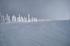 IMG_4432_1024x768
