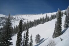 IMG_4456_1024x768