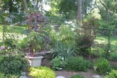 IMG_4465_1024x768