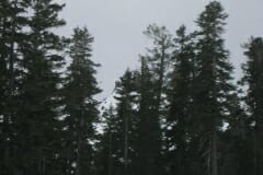 IMG_4314_1024x768