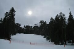 IMG_4315_1024x768
