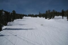 IMG_4345_1024x768