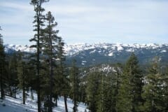 IMG_4355_1024x768