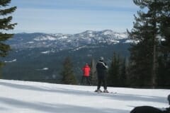 IMG_4362_1024x768
