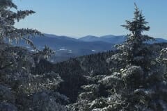 IMG-0380