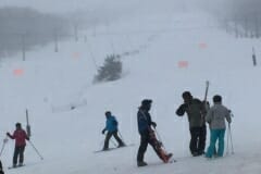 IMG-0386