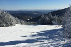 IMG-0391