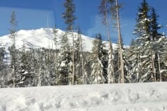 20190228_090344_1024x576