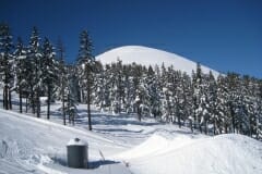 IMG_4615_1024x768