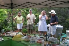 IMG_4641_1024x768