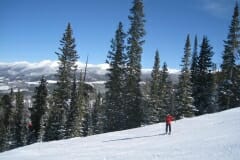 IMG_4528_1024x768
