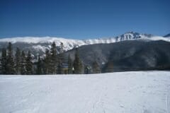 IMG_4530_1024x768