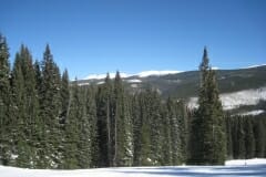 IMG_4587_1024x768