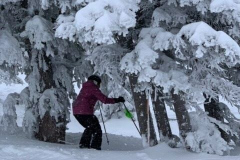 2020 Jackson Hole - Nonie Kelley