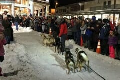 Susan_E-DogSledRace-1