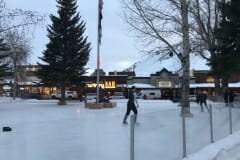 Susan_E-DogSledRace-4