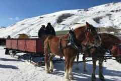 Susan_E-ElkRefuge-5