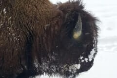 KeithFaucher-6