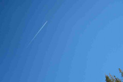 IMG_4821_1024x575