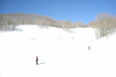 IMG_4902_1024x768