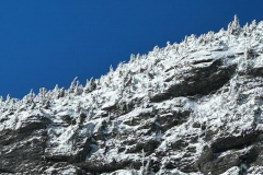 LisaStowe10